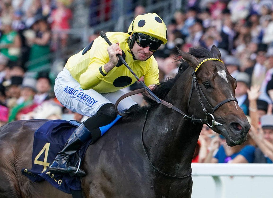 Training Techniques and Race Day Strategies to Secure Victory