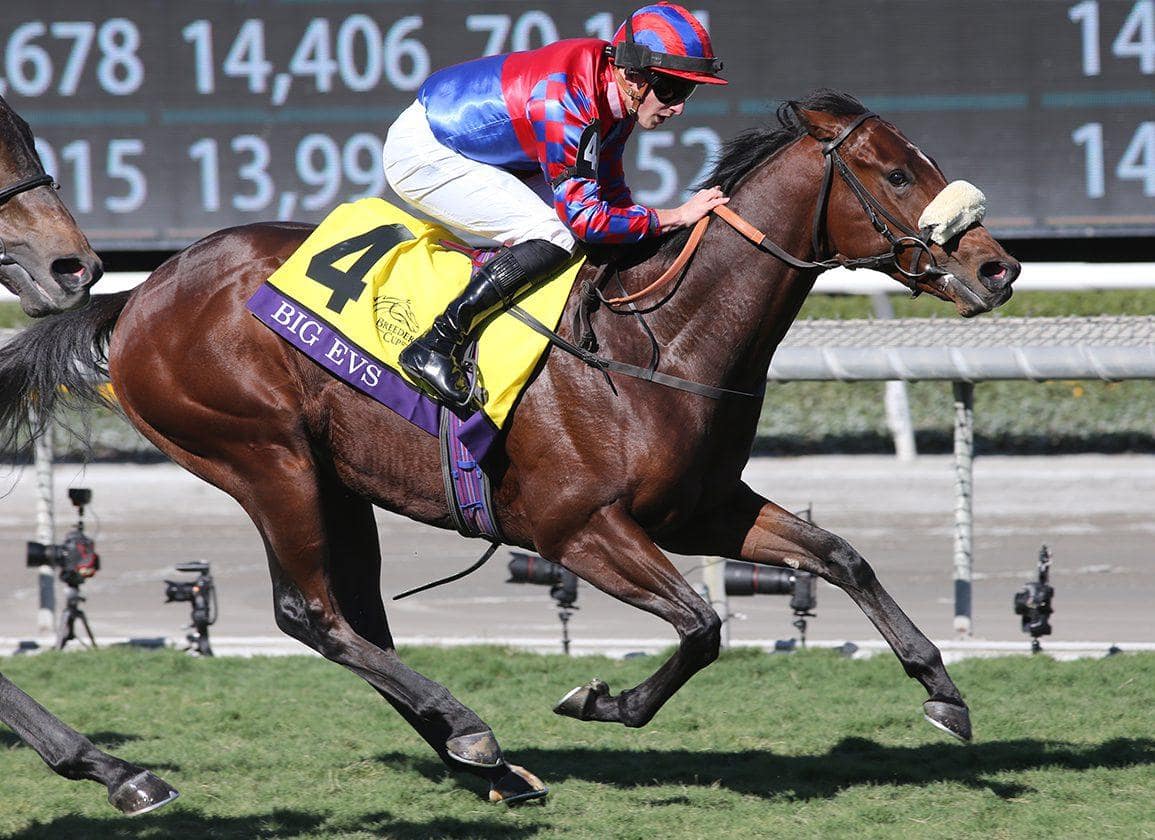 Doyle's Strategic Approach to Maximizing Big Mojo's Strengths