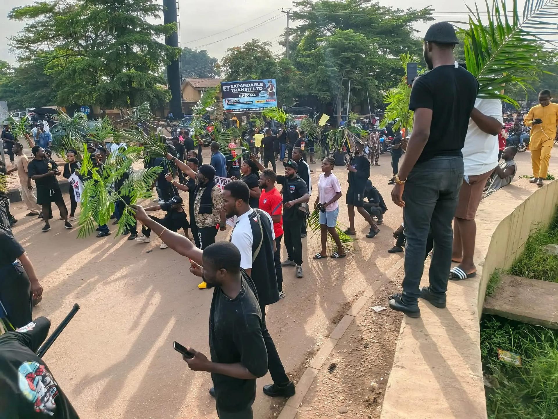 Echoes of Abuja's Absence The Vacuum Inviting Chaos